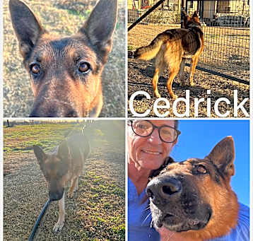 Photo of Cedrick