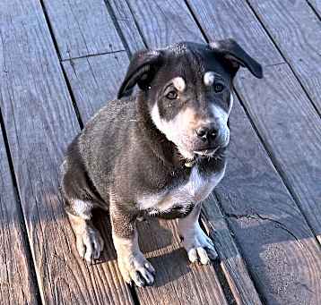 Photo of Benny