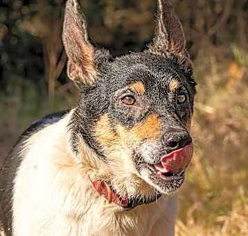Photo of Cindy