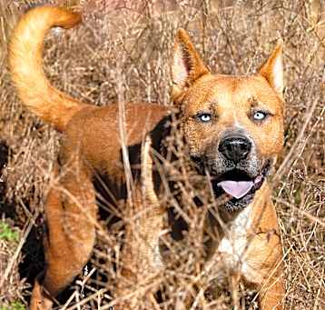 Photo of Duke