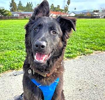 Photo of Howie