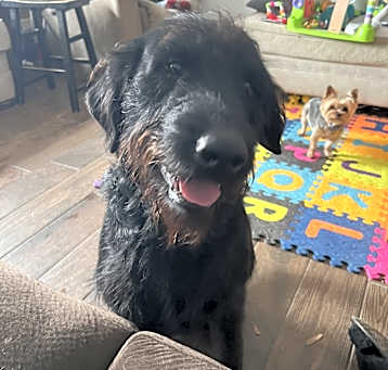 Photo of Rookie