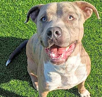 Photo of CANE