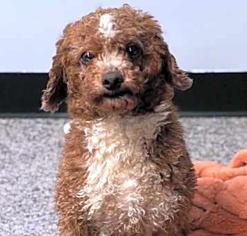 Photo of Rudy