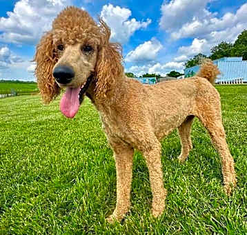 Photo of Bentley Nov 24