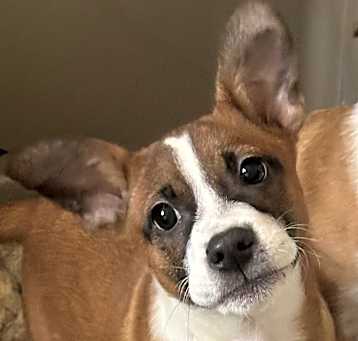 Photo of Kaitlyn