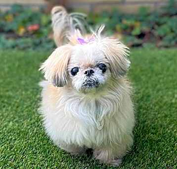 Photo of Emmeline