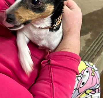 Photo of Rosie