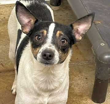 Photo of Lilly