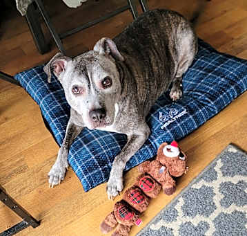 Photo of Jessie