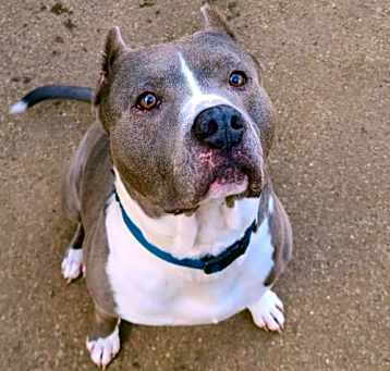 Photo of Blue