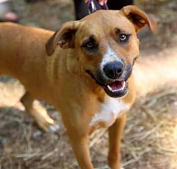 Photo of Scooter