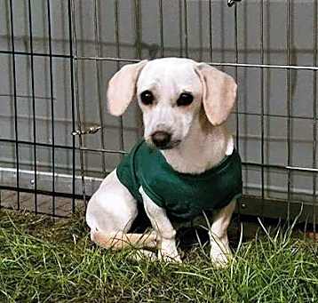 Photo of Millie