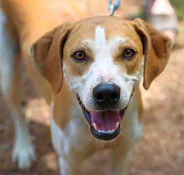 Photo of Ellie Mae