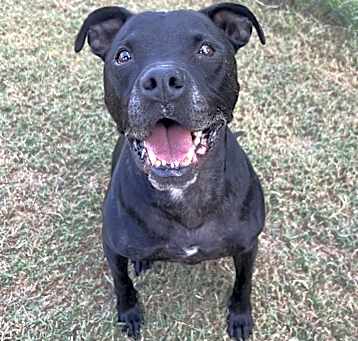 Photo of Ember