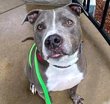 Photo of Odin
