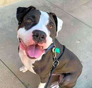 Photo of Jax