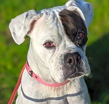 Photo of Ella