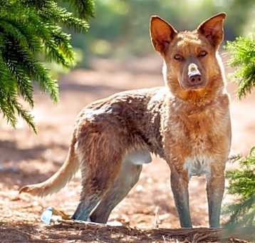 Photo of Riddle
