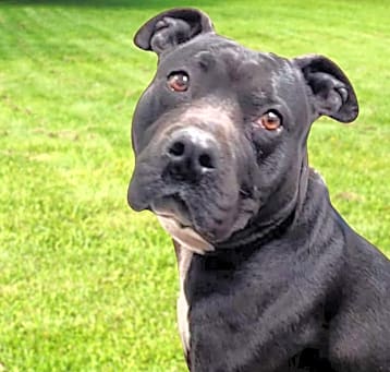 Photo of Betty