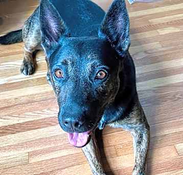 Photo of Rizzo