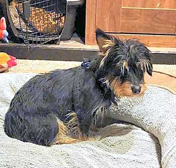 Photo of Mitzi
