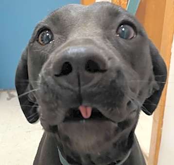 Photo of Baby