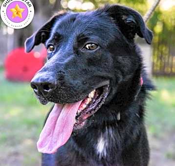 Photo of Duke
