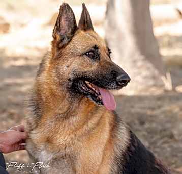 Photo of Luna