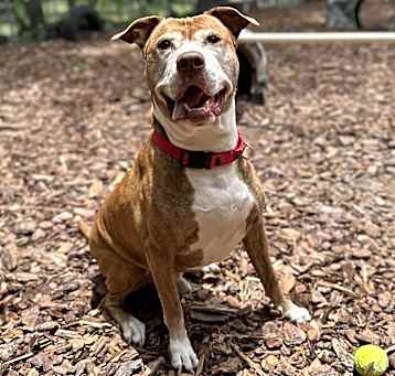 Photo of Maxi