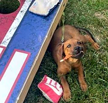 Photo of Poncho