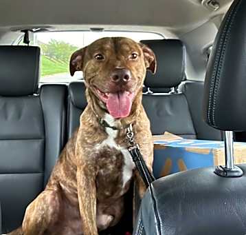 Photo of Scoob