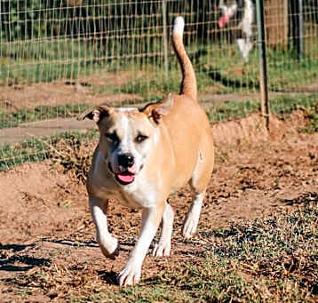 Photo of Ella
