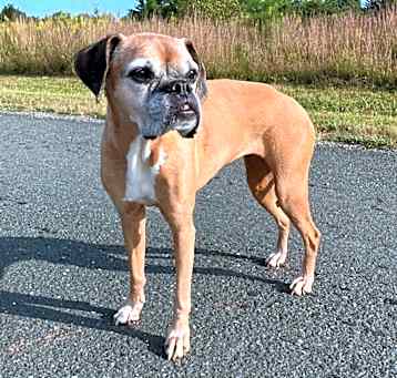 Photo of Darla