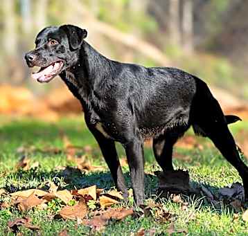 Photo of Xena Too