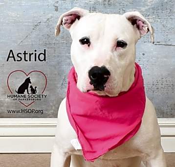 Photo of Astrid