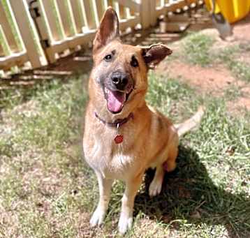 Photo of Sammie