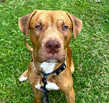 Photo of Winston