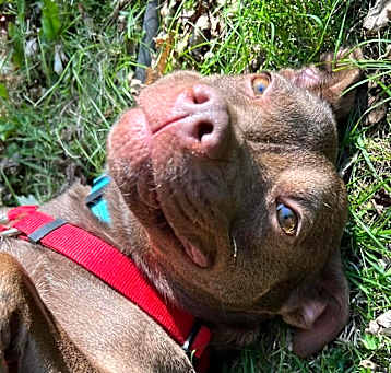 Photo of Truffles