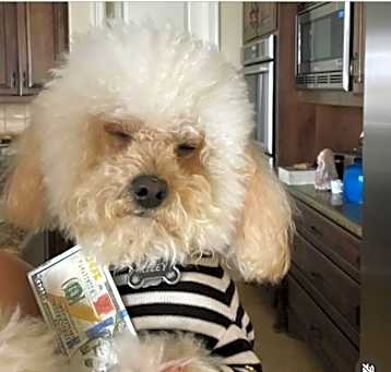 Photo of Riley Marco