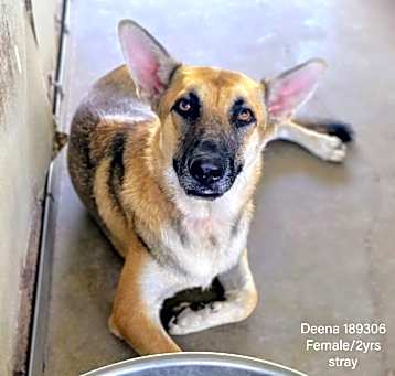 Photo of Deena