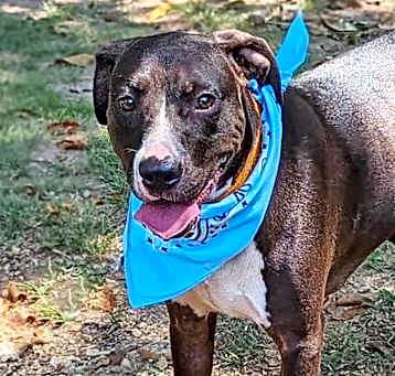 Photo of Hercules