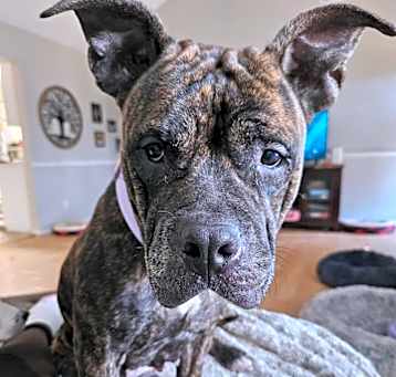 Photo of Matilda