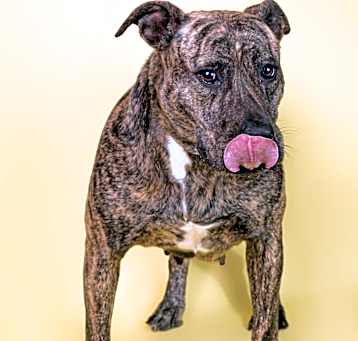 Photo of Jada