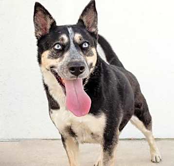Photo of Maya