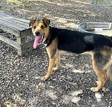 Photo of Nova