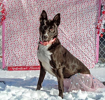 Photo of Farrah