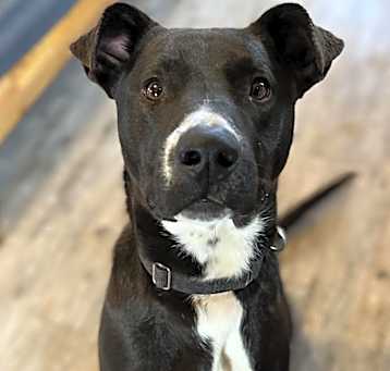 Photo of Rogan