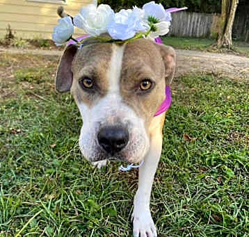 Photo of Dorothy