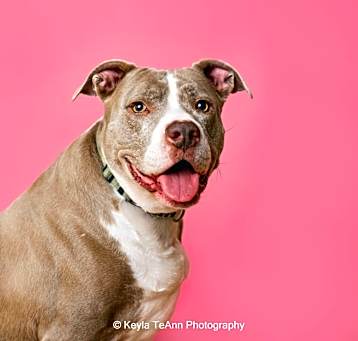 Photo of Mama Tylee